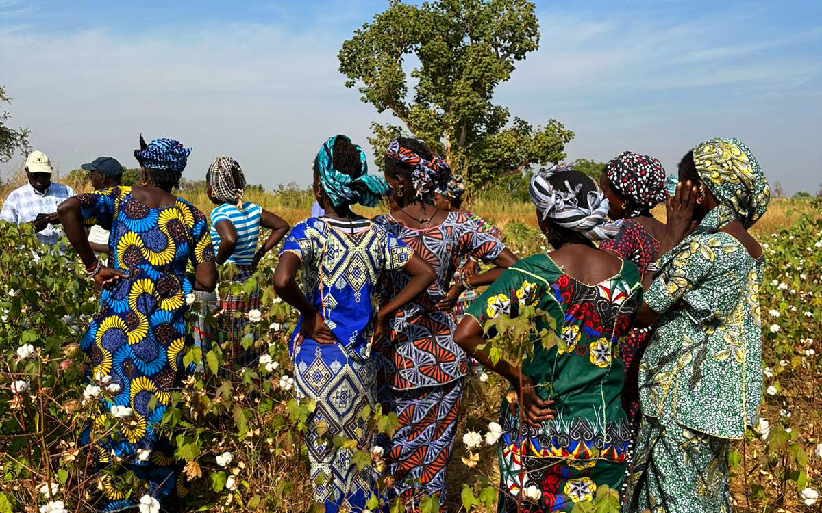 Das Foto zeigt die Bio-Baumwollbäuerinnen bei einem Feldbesuch bei über 40 Grad